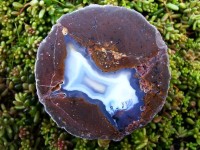 McDermitt Thunderegg